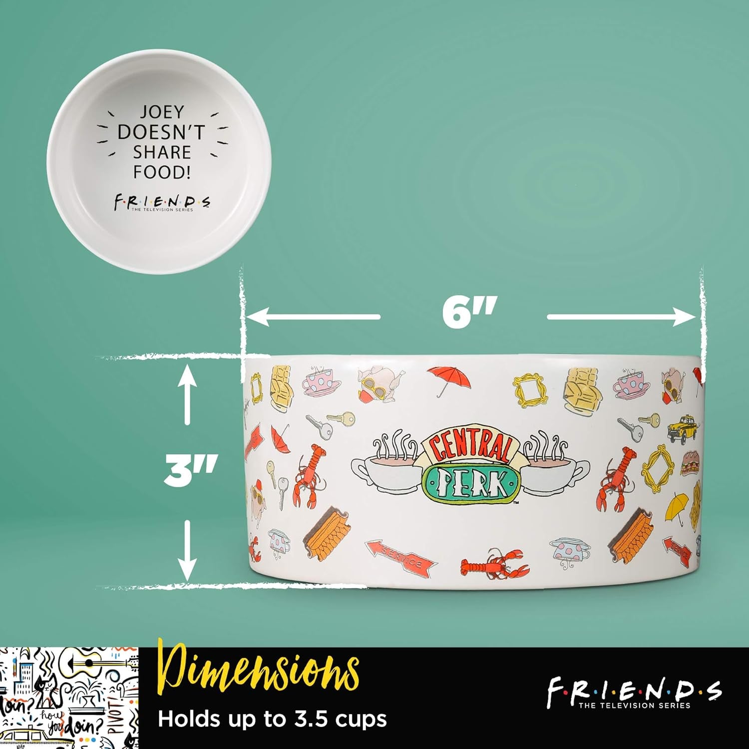 Fetch for Pets Warner Bros Friends TV Show Joey Doesn'T Share Food Ceramic Dog Food Bowl