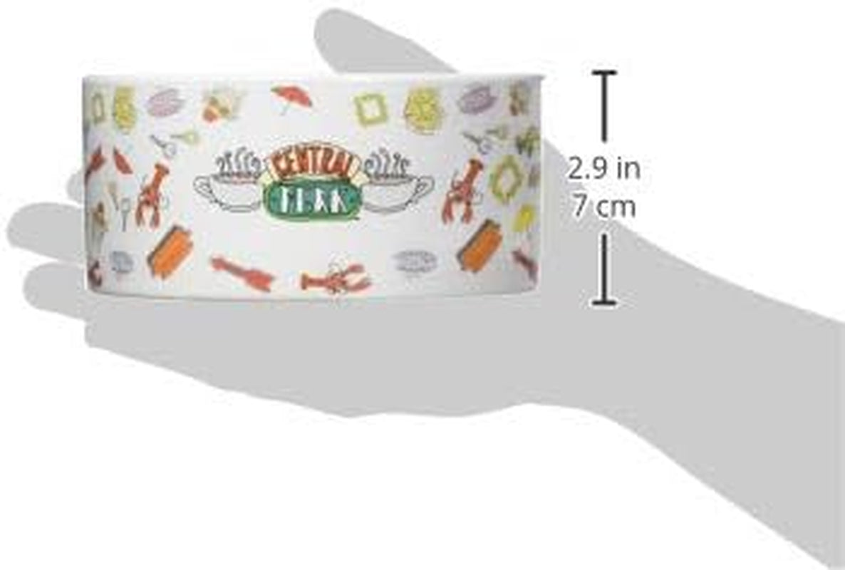 Fetch for Pets Warner Bros Friends TV Show Joey Doesn'T Share Food Ceramic Dog Food Bowl