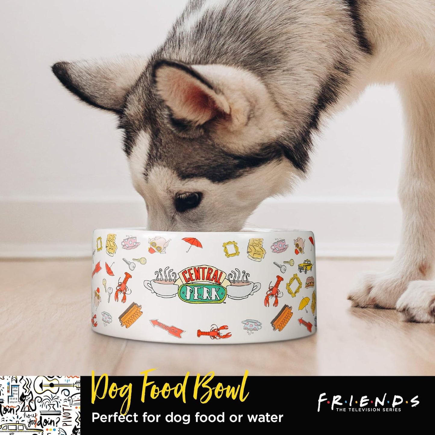 Fetch for Pets Warner Bros Friends TV Show Joey Doesn'T Share Food Ceramic Dog Food Bowl