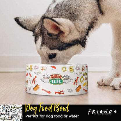 Fetch for Pets Warner Bros Friends TV Show Joey Doesn'T Share Food Ceramic Dog Food Bowl