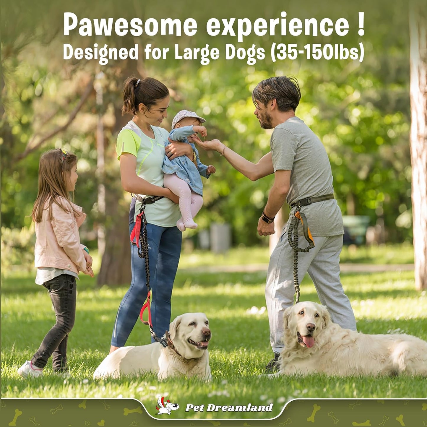 Exquisite Handsfree Dog Leash for Large Dogs. Ultimate Comfort & Freedom for Walking and Hiking. Premium Quality, Durable & Versatile Waist Belt. Your Dog Will Love This Running Leash.