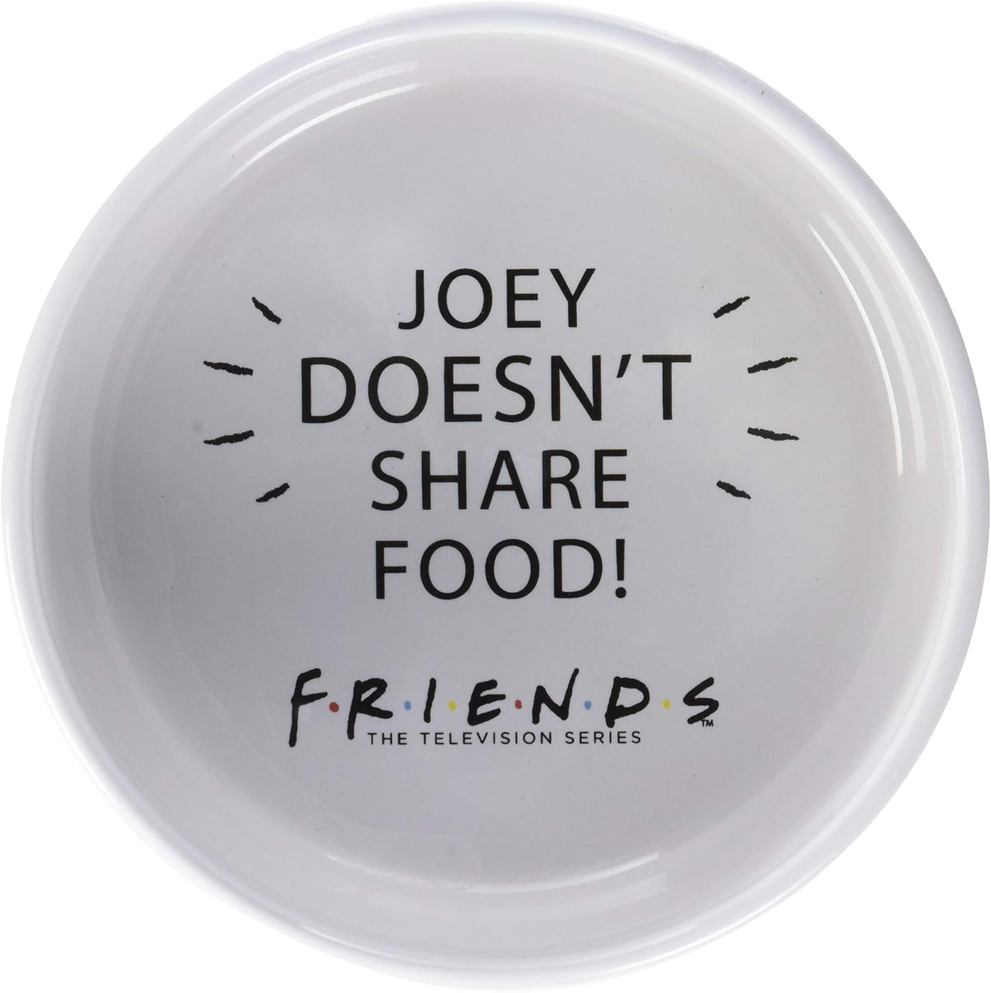 Fetch for Pets Warner Bros Friends TV Show Joey Doesn'T Share Food Ceramic Dog Food Bowl