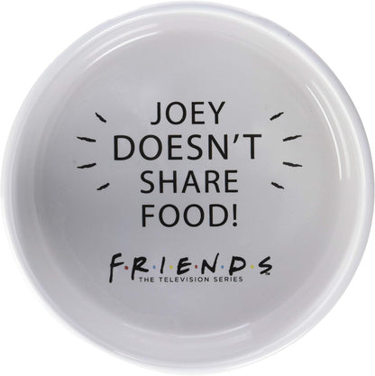 Fetch for Pets Warner Bros Friends TV Show Joey Doesn'T Share Food Ceramic Dog Food Bowl