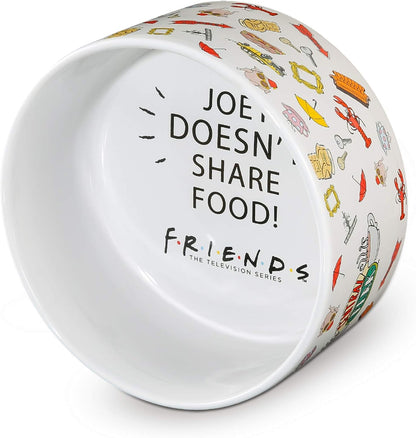 Fetch for Pets Warner Bros Friends TV Show Joey Doesn'T Share Food Ceramic Dog Food Bowl